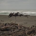 Kunst am Strand