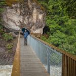 Brücke über die Sharplin Falls