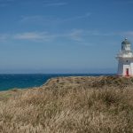 Waipapa Point