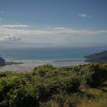 Wainui Bay